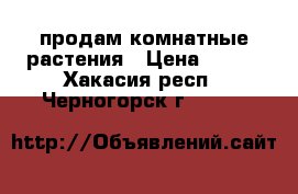 продам комнатные растения › Цена ­ 200 - Хакасия респ., Черногорск г.  »    